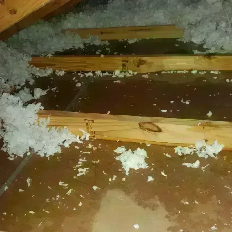 Attic Water Damage in Saint Peter, WI