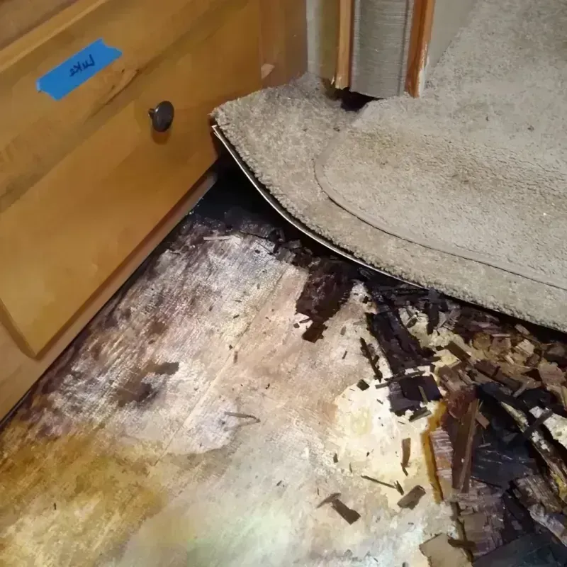 Wood Floor Water Damage in Saint Peter, WI